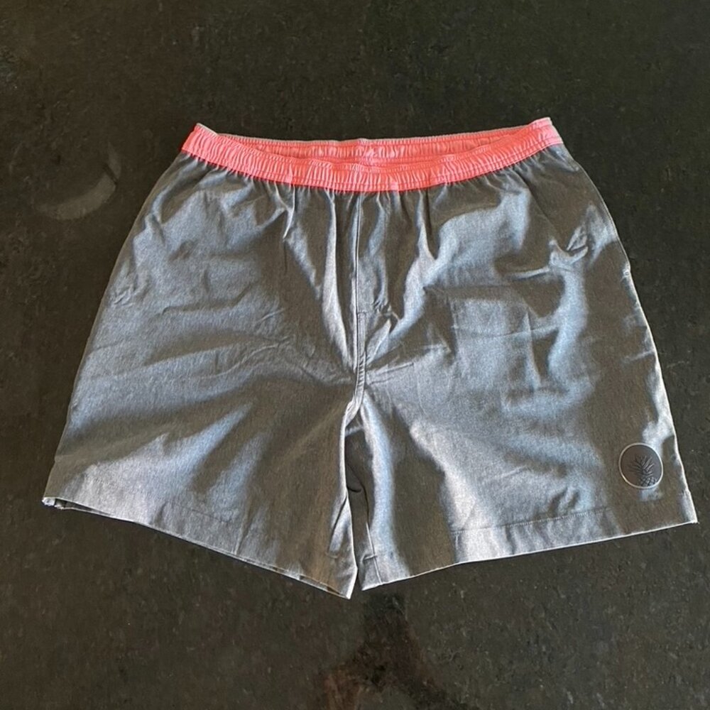 Chubbies Men Grey/Pink Shorts Size L